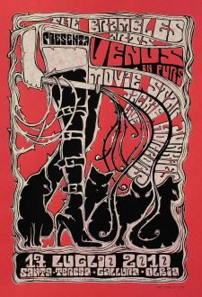 Venus in Furs